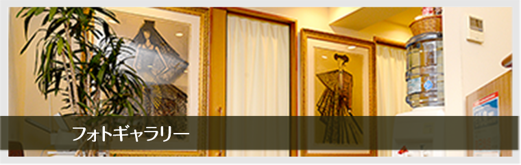 フォトギャラリー
